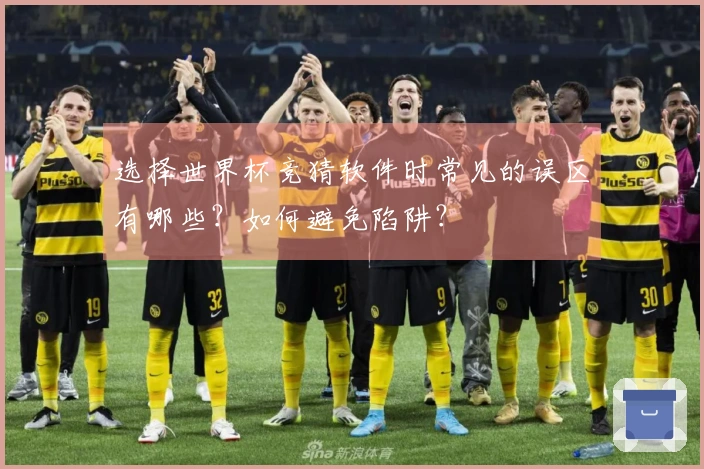 选择世界杯竞猜软件时常见的误区有哪些？如何避免陷阱？